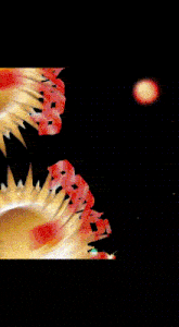 a group of cheerleaders are standing in front of a sun with the word apollo written in red