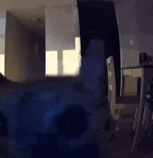 a close up of a cat 's face in a dark room