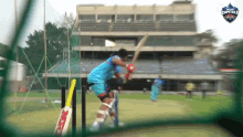 Cricket Striker GIF - Cricket Striker Hit GIFs