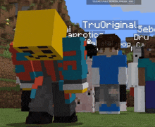 a group of minecraft characters are standing in a field and one of them has the name truoriginal.seb on his head