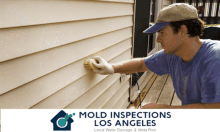 professional mold inspectors professional mold testing
