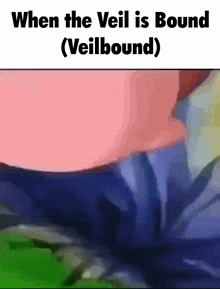 Veilbound Veil Bound GIF - Veilbound Veil Bound Roblox GIFs