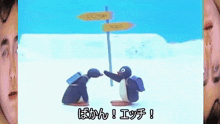 two penguins are standing next to each other in front of a sign that says expedition