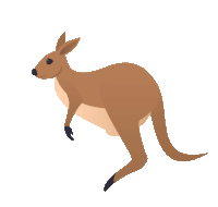 Kangaroo GIFs | Tenor