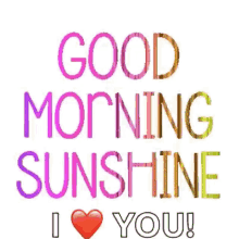 Good Morning Good Morning Sunshine GIF - Good Morning Good Morning Sunshine Good Day GIFs