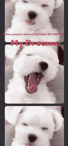 Lol Dogs GIF - Lol Dogs Dreams GIFs