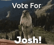 Vote Josh GIF - Vote Josh Joshua GIFs
