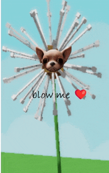 a flower with a dog 's face and the words blow me