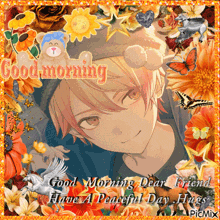 a picture of a boy surrounded by flowers and butterflies with the words good morning dear friend have a peaceful day hugs