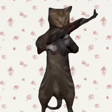 Cat Cat With Gun GIF - Cat Cat With Gun Gun GIFs