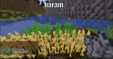 Irony Haram GIF - Irony Haram Xuffy GIFs