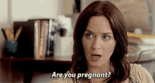 Emily Blunt Five Year Engagement GIF - Emily Blunt Five Year Engagement Are You Pregnant GIFs
