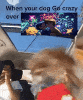 a man and a dog are sitting in a car with a picture of fireworks behind them .