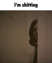 a black and white photo of a woman behind a wall with the words i 'm shitting above her