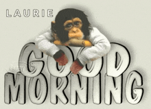 Good Morning Good Day GIF - Good Morning Good Day Monkey GIFs