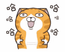 Cat Lan Lan Cat GIF - Cat Lan Lan Cat Fat Belly GIFs