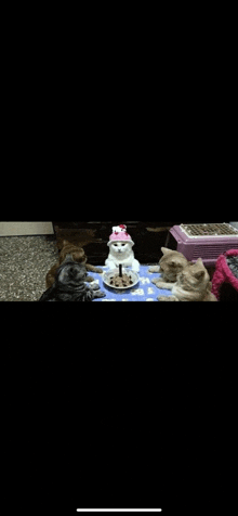 Birthday Kitties GIF - Birthday Kitties GIFs