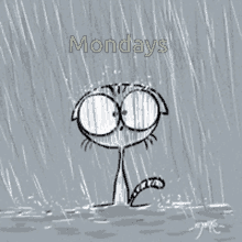 Monday Cat GIF - Monday Cat Rain GIFs