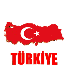 bayrak turkey