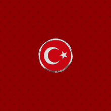 Türk Bayrağıdönen GIF