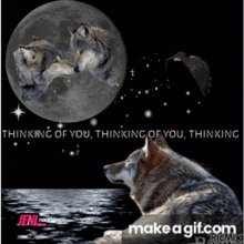 Thinking Of You Wolf GIF