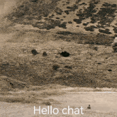 Troy Otto Hello Chat GIF - Troy Otto Hello Chat GIFs