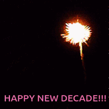 Happy New Decade Happy New Year GIF - Happy New Decade Happy New Year Fireworks GIFs