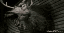 Evil Deer Head GIF - Evil Deer Head GIFs