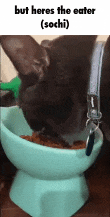 But Heres The Eater Sochi GIF