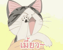 cat meow anime