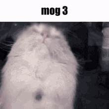 Mog Moogle GIF - Mog Moogle GIFs