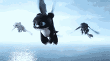 Why Fly When You Can Fall How To Train Your Dragon GIF - Why Fly When You Can Fall How To Train Your Dragon Httyd GIFs