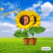 Wow Oh GIF - Wow Oh Flowers GIFs