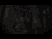 a couple of anime characters are standing in a dark forest