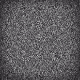 a black and white image of a gray carpet with a lot of noise on it .