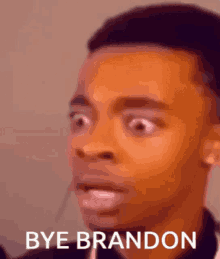 Bye Brandon Bye GIF - Bye Brandon Bye Flight GIFs