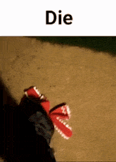 a person is walking on a dirt road with a red shoe in the foreground .