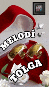 a couple of wedding rings in a red box with melodi folga written on the bottom
