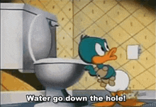 water go down the hole toilet baby