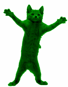 cat dance happy dance green cat