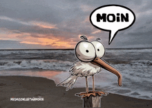 Moin Moin Möwie GIF - Moin Moin Möwie Ostfriesland GIFs
