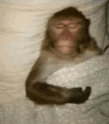 a monkey is sleeping in a bed with a pillow and blanket .