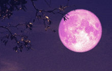 a full purple moon is visible in the night sky