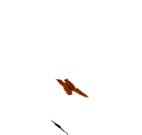 a butterfly is flying over a white background