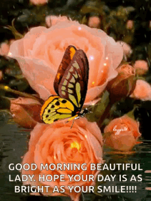 Good Morning Flowers GIF - Good Morning Flowers Beautiful Day GIFs