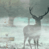 Reindeer Northpole GIF - Reindeer Northpole Santaclaus GIFs
