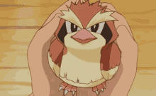 GIF