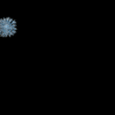 fireworks are exploding in the night sky