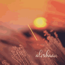Alishaa Good Morning GIF - Alishaa Good Morning Sun GIFs