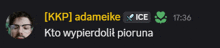 a screenshot of a chat with adameike and ice at 17:36